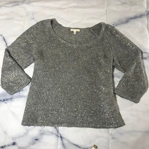 Eileen Fisher Metallic Silver/Grey Sweater